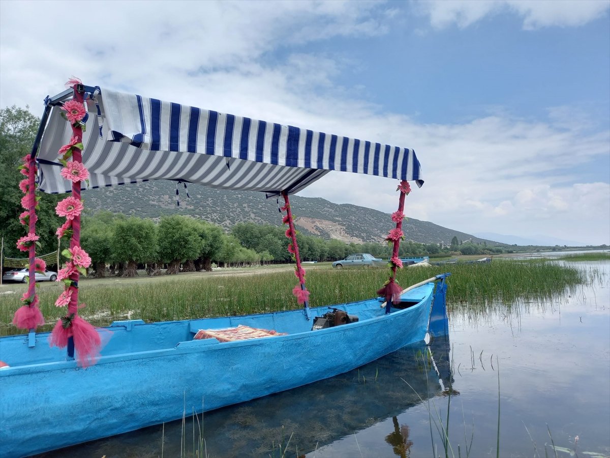 A A 20260501 41262801 41262799 I S I K L I G O L U N D E N I L U F E R C I C E G I T U R L A R I B A S L A D I