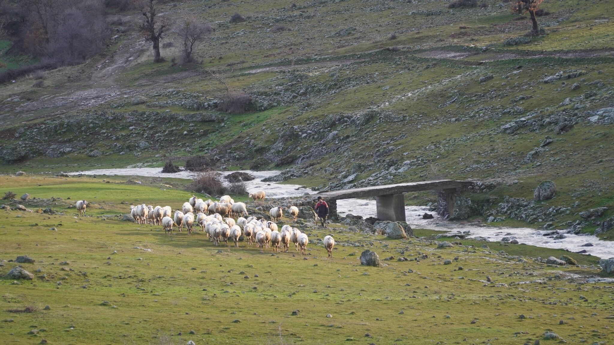 Güvercin Kayası (2)