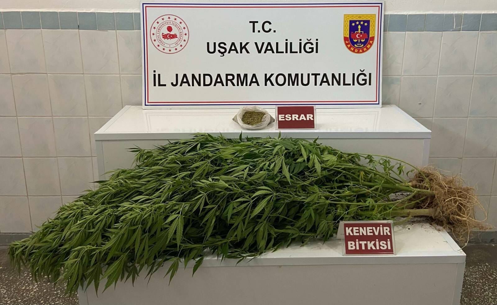 Uşak'ta Jandarmanın kaçakçılık operasyonu neticesinde 2 kişi gözaltına alındı