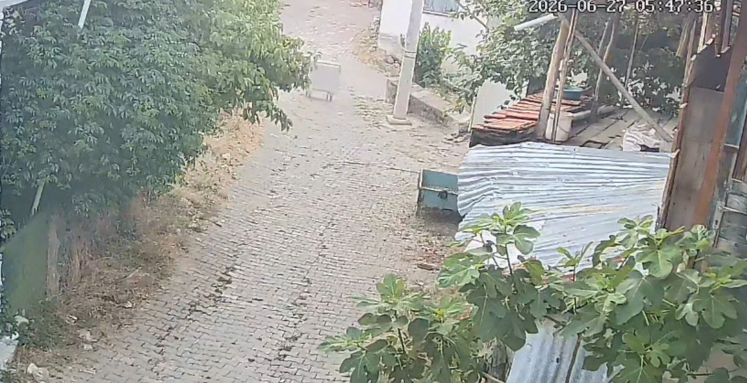Ekran Görüntüsü 2026 07 01 145723