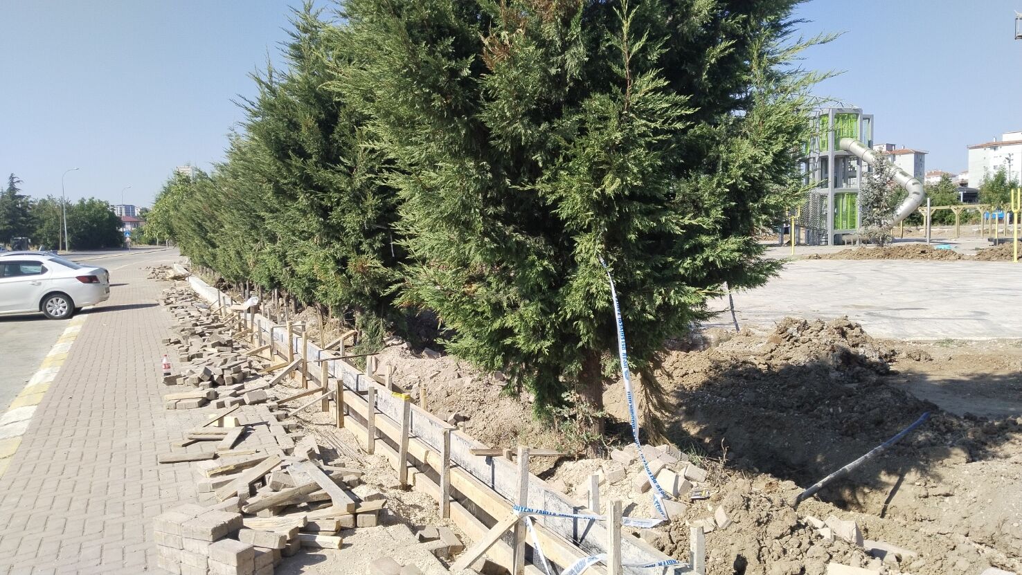 Masal Diyarı (5)