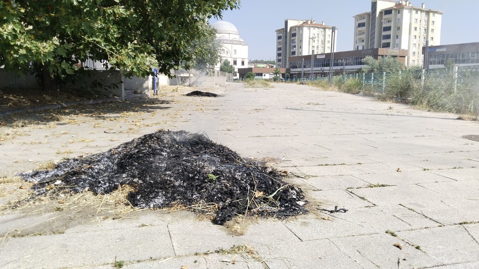 Uşak Kentsel Dönüşüm Kuru Ot Yangını (1)