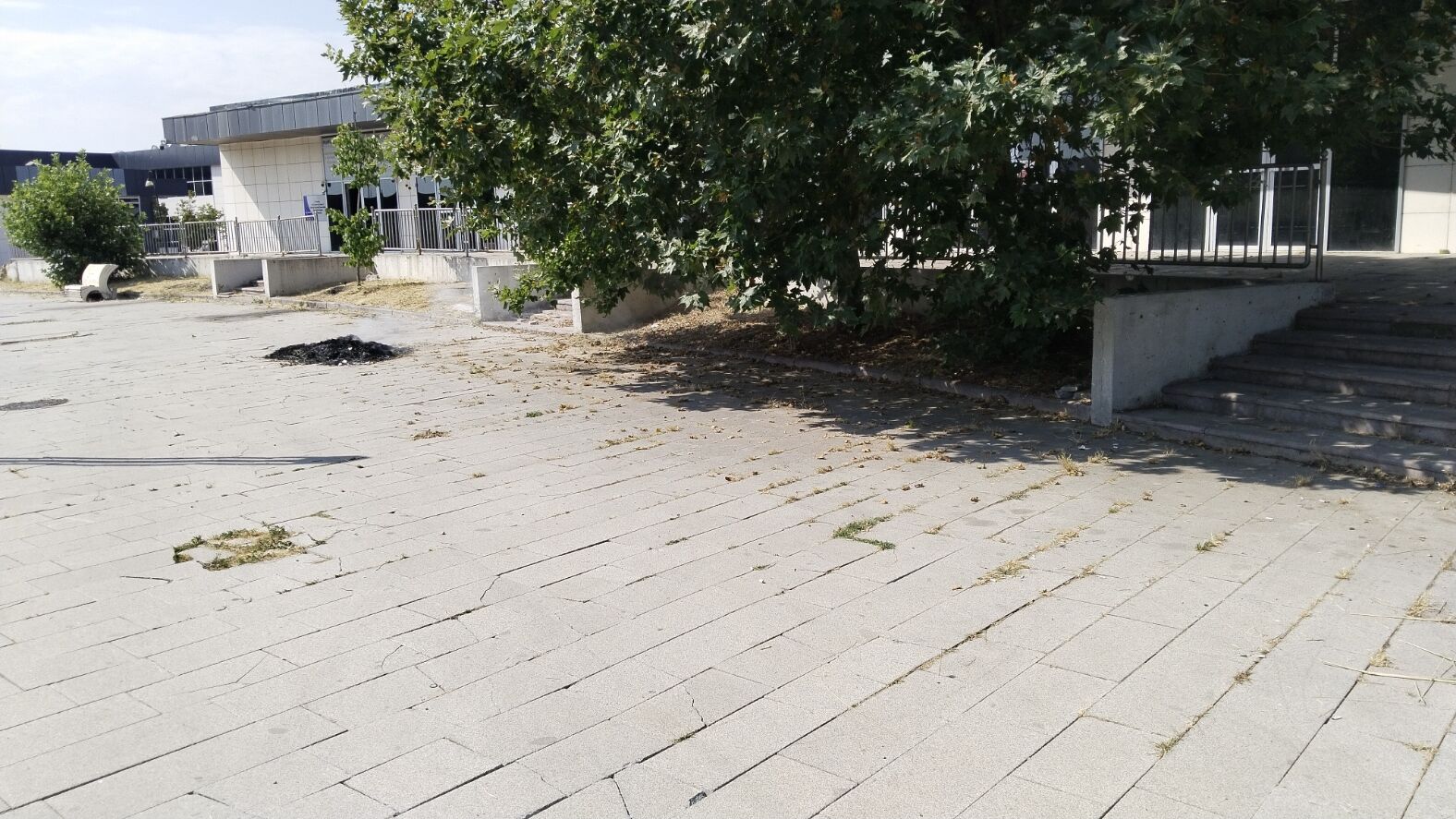 Uşak Kentsel Dönüşüm Kuru Ot Yangını (5)