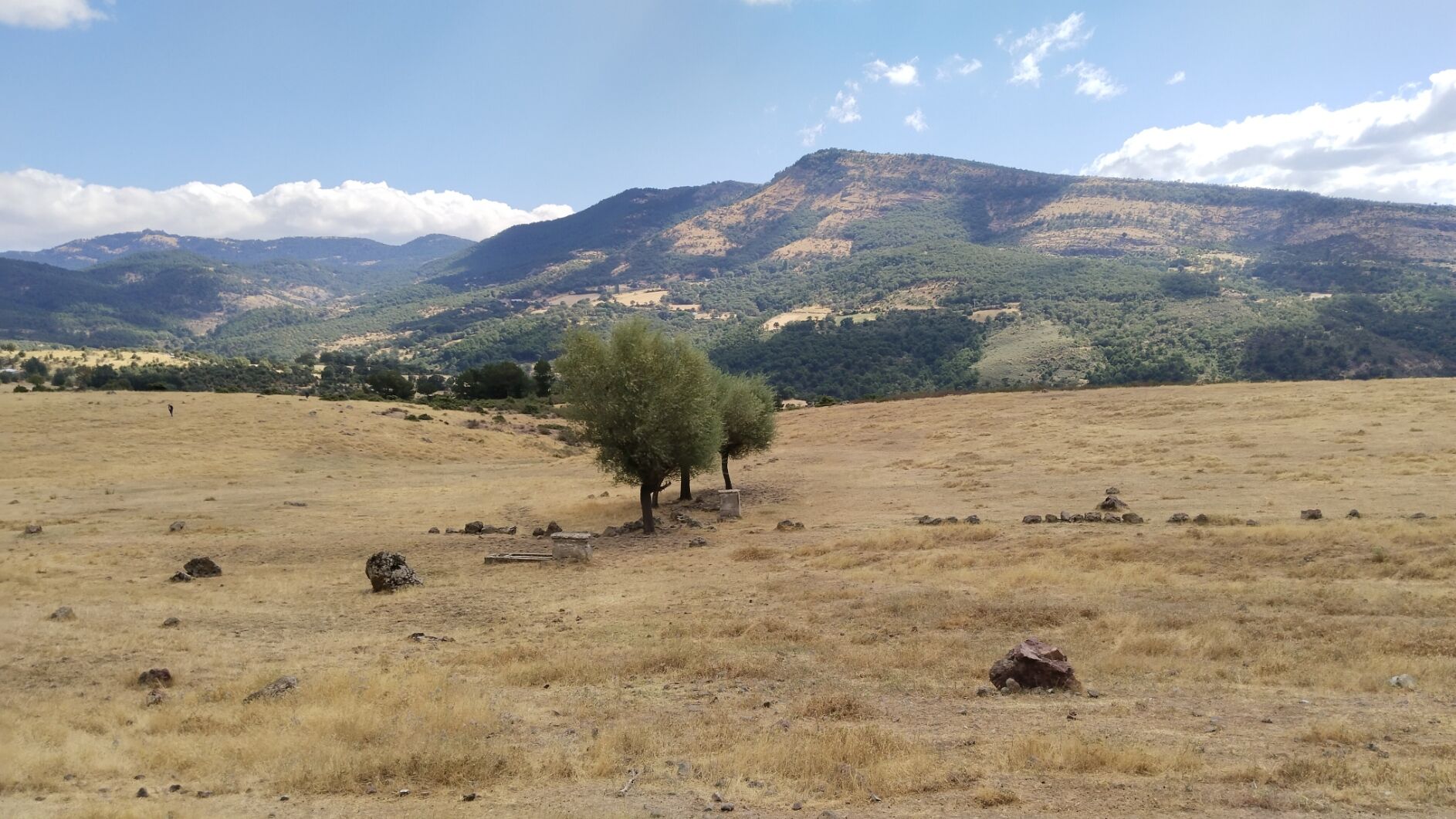Maden Bağbaşı Eylem (3)