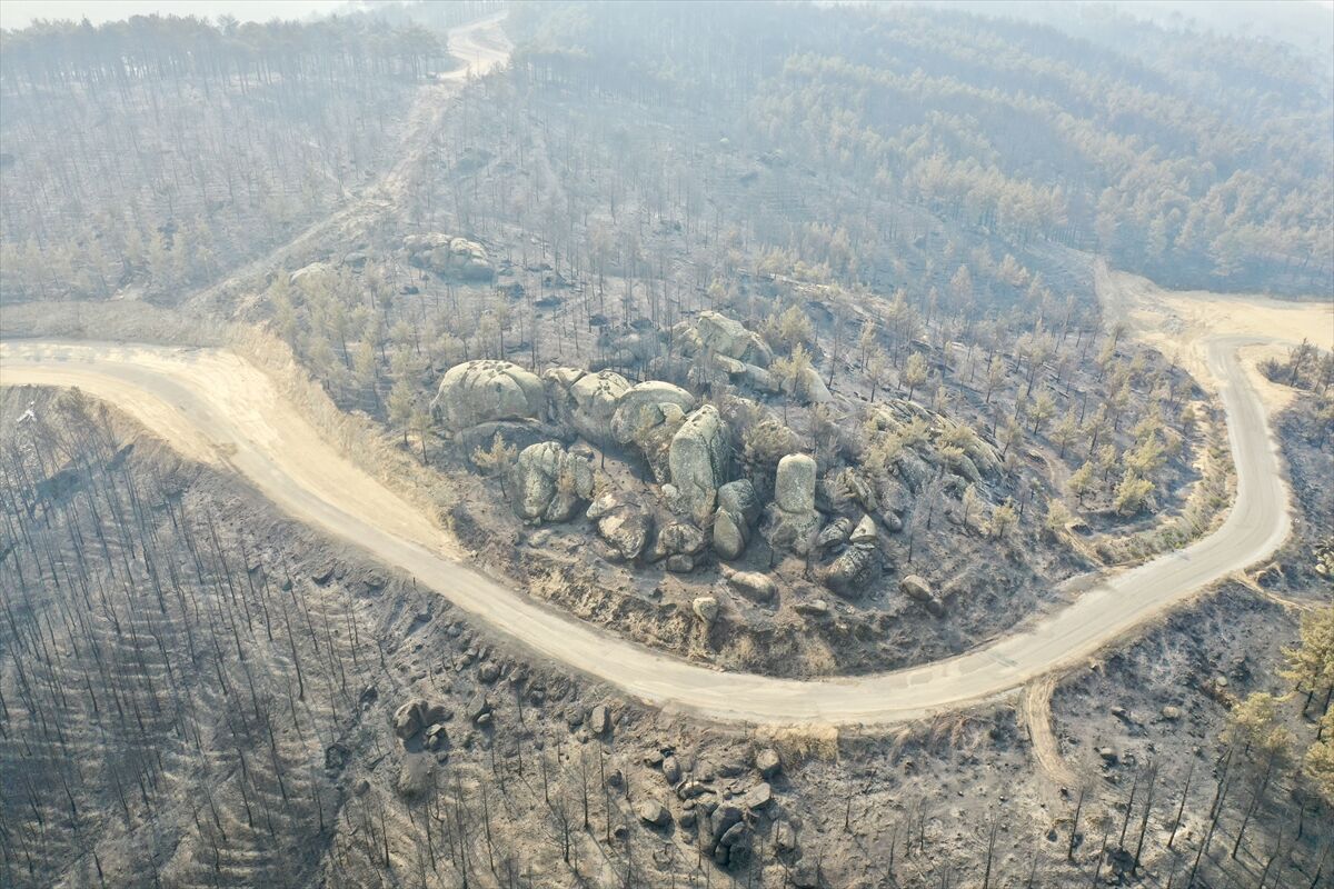 Orman Yangınları (4)