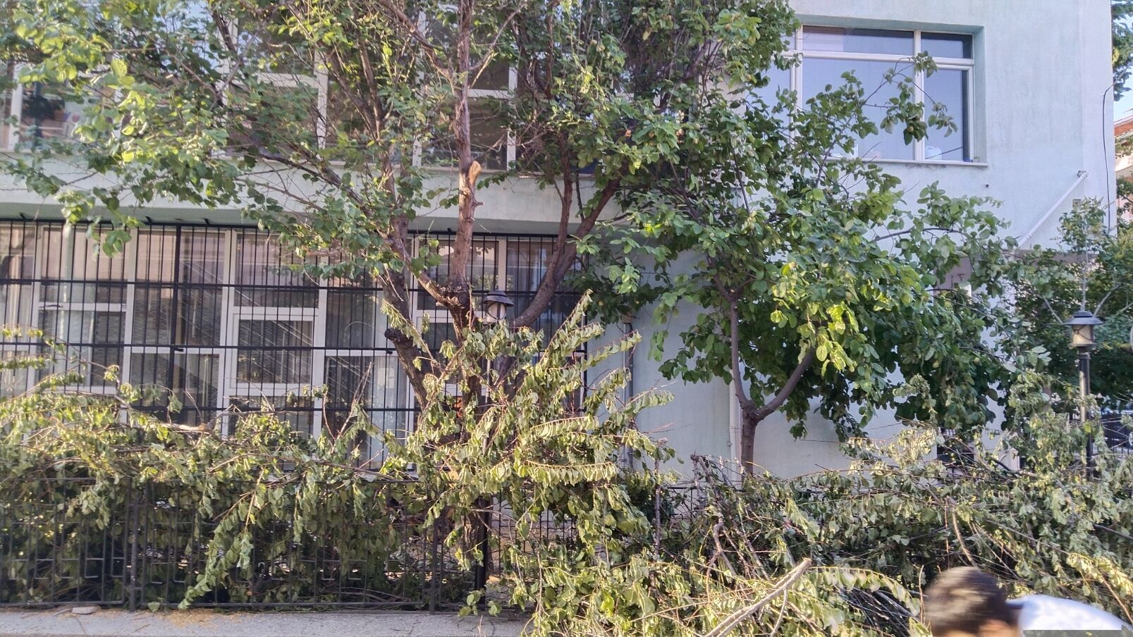 Ragıp Soysal Kütüphane (3)
