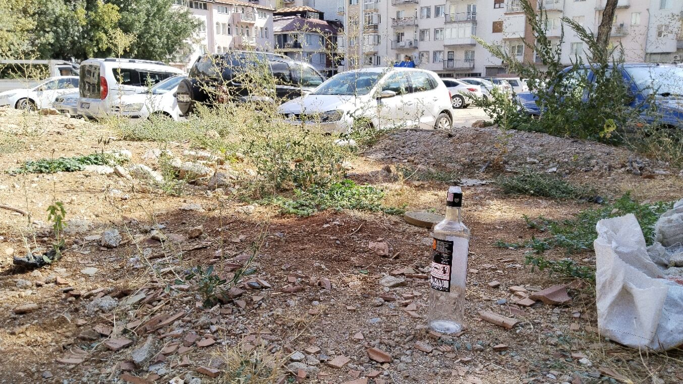 Eğitim