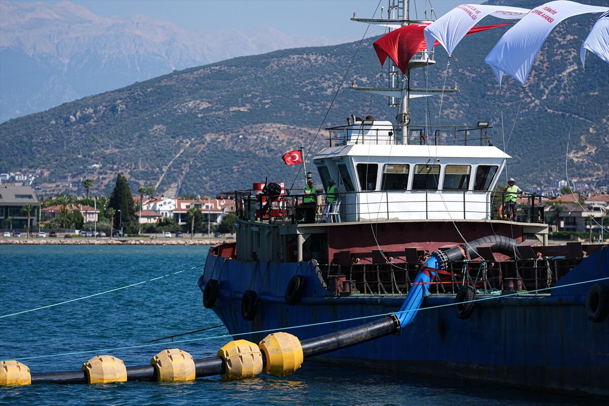 Yaşam