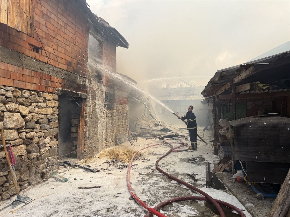 Domaniç Karşıyaka'da Selman, Yakup ve Ramazan Önder kardeşlere ait çiftlikte yangın