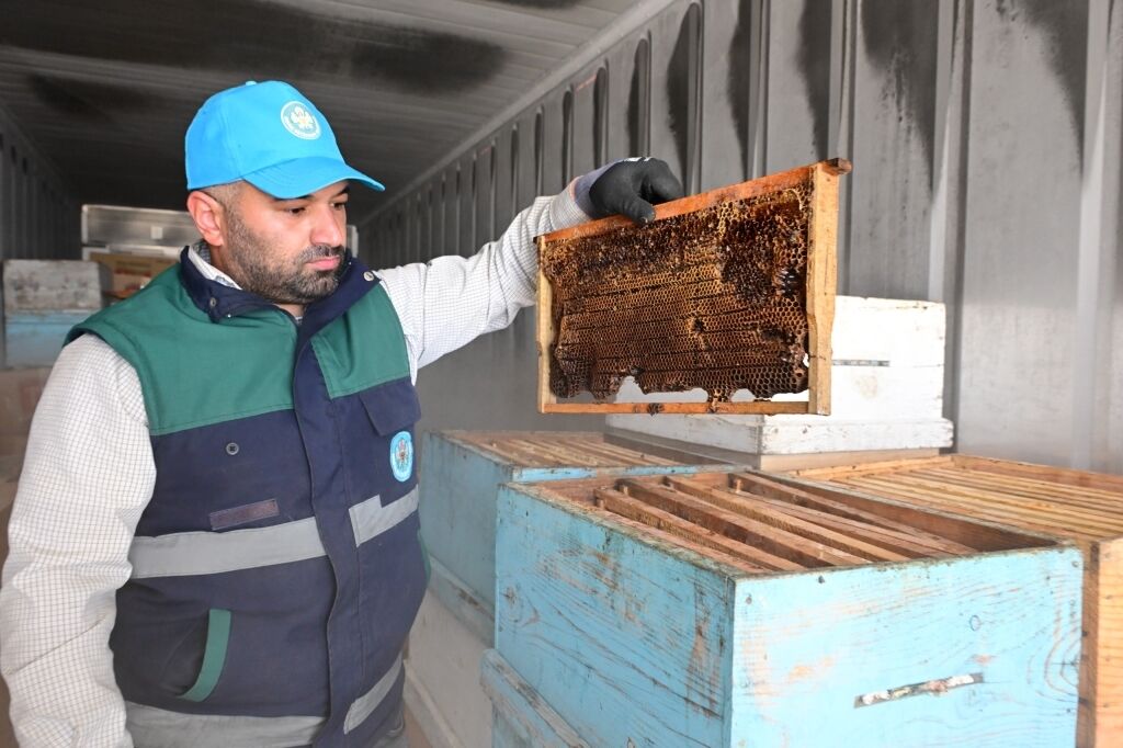 Gölmarmara Hıroğlu’ndaki arıcıların kayıpları en aza indirgendi